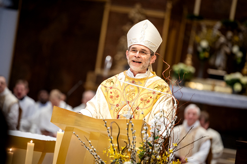Priesterweihe Ambruster / Erzdiözese Wien/Schönlaub