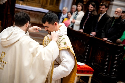 Priesterweihe Ambruster / Erzdiözese Wien/Schönlaub