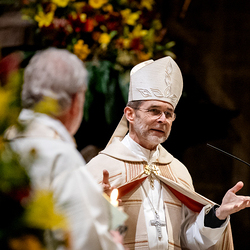 Vesper am Tag des geweihten Lebens / Erzdiözese Wien/Schönlaub