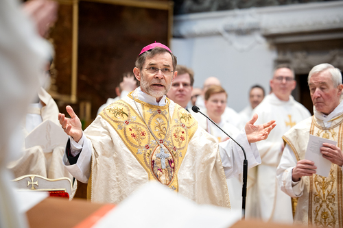 Priesterweihe Ambruster / Erzdiözese Wien/Schönlaub